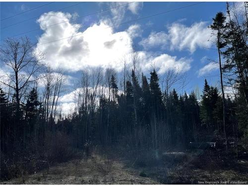 - Oldfield Rd, Bartibog, NB 