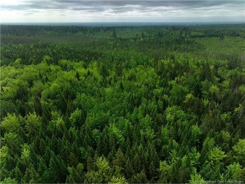 - Oldfield Rd, Bartibog, NB 