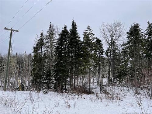 - Oldfield Rd, Bartibog, NB 