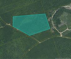 . Woodland Lot Smith Rd E-S - Baltimore Baltimore, NB E4H 1V2