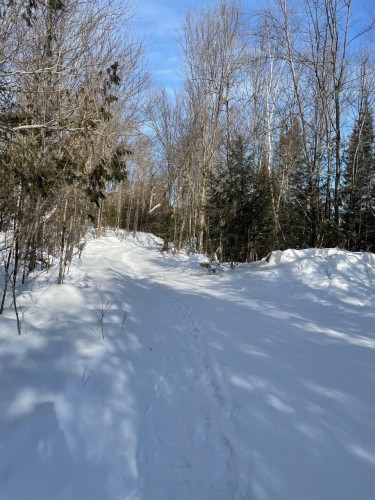 Extérieur - Z Route 101, Témiscaming, QC - Outdoor With View