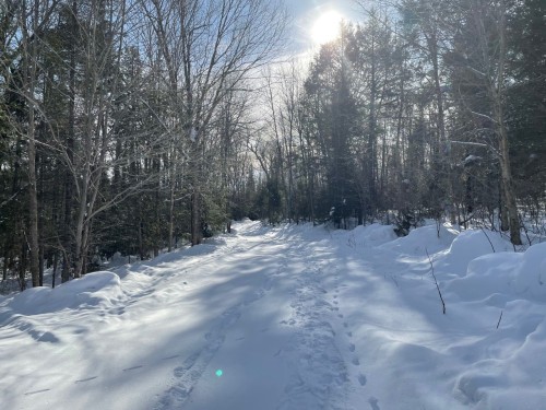 Extérieur - Z Route 101, Témiscaming, QC - Outdoor
