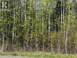 LOT 26 BOULTBEE ROAD Bridge Lake, BC V0K 2E3