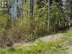 LOT 26 BOULTBEE ROAD Bridge Lake, BC V0K 2E3