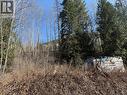 Vector Road Lot# 11, Salmo, BC 
