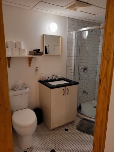 Bathroom - 7559A Av. Wiseman, Montréal (Villeray/Saint-Michel/Parc-Extension), QC - Indoor Photo Showing Bathroom