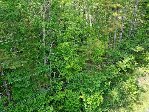 Lot 71 Baker Pt Road, Molega, NS 