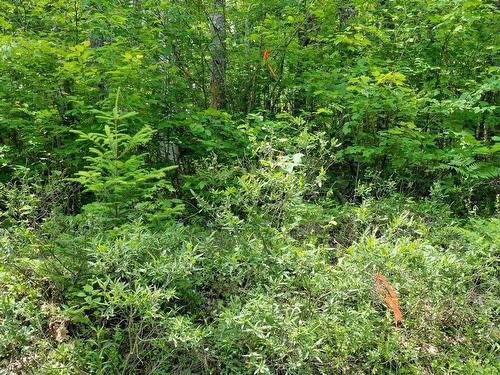 Lot 71 Baker Pt Road, Molega, NS 