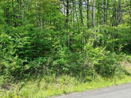 Lot 71 Baker Pt Road, Molega, NS 