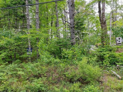 Lot 71 Baker Pt Road, Molega, NS 