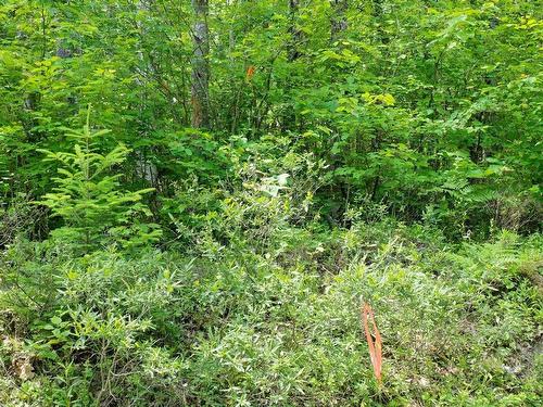 Lot 71 Baker Pt Road, Molega, NS 