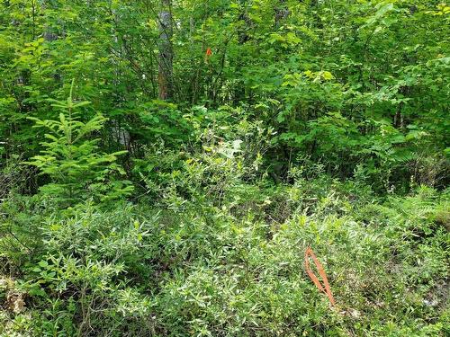 Lot 71 Baker Pt Road, Molega, NS 