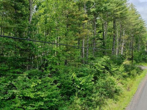 Lot 71 Baker Pt Road, Molega, NS 