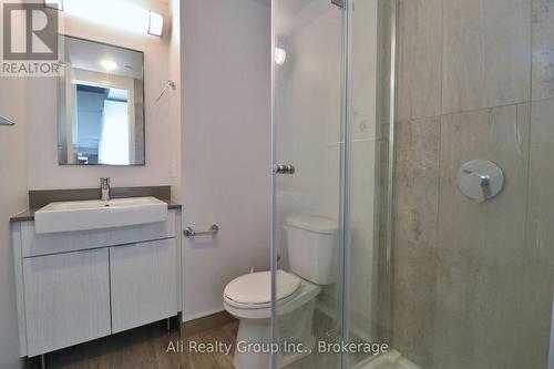 1602 - 105 Champagne Avenue S, Ottawa, ON - Indoor Photo Showing Bathroom