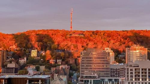 Vue - 2501-1155 Rue De La Montagne, Montréal (Ville-Marie), QC - Outdoor With View