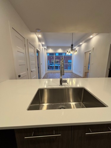Cuisine - 504-20 Rue D'Ambre, Candiac, QC - Indoor Photo Showing Kitchen With Double Sink