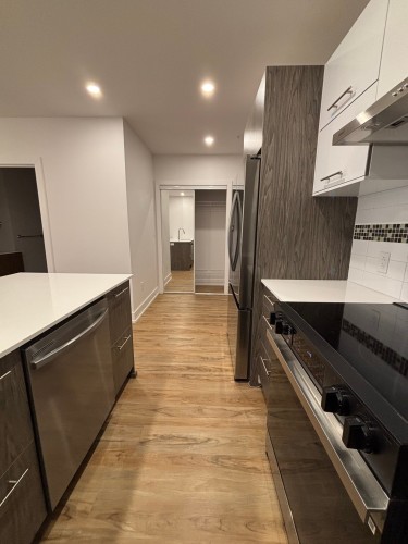 Cuisine - 504-20 Rue D'Ambre, Candiac, QC - Indoor Photo Showing Kitchen