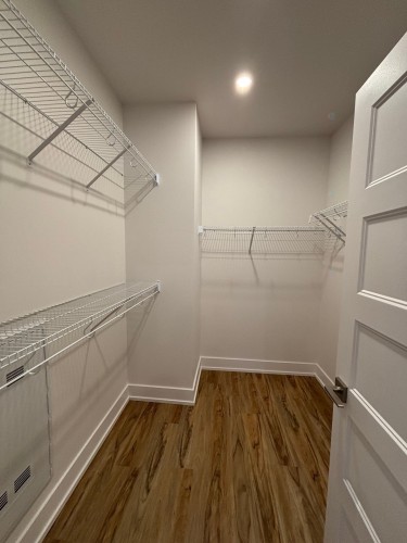 Penderie (Walk-in) - 504-20 Rue D'Ambre, Candiac, QC - Indoor With Storage