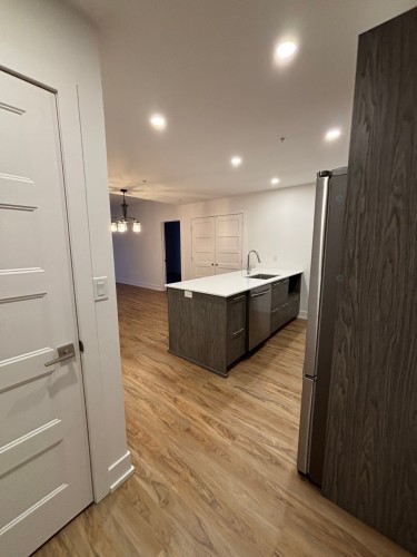 Hall d'entrée/Vestibule - 405-30 Rue D'Ambre, Candiac, QC - Indoor