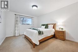Bedroom featuring carpet and a textured ceiling - 