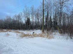 191 Lakeview Road  Dryden, ON P8N 2Y4