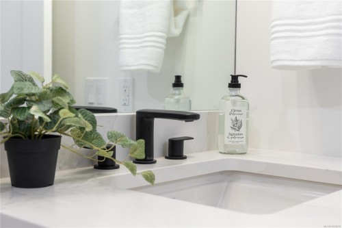 #102-201 Dogwood Dr, Ladysmith, BC - Indoor Photo Showing Bathroom