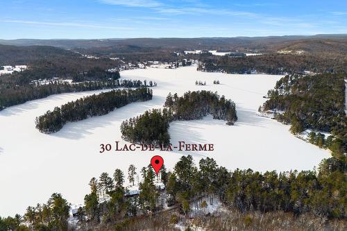 Photo aérienne - 30 Ch. Du Lac-De-La-Ferme, Otter Lake, QC - Outdoor With View