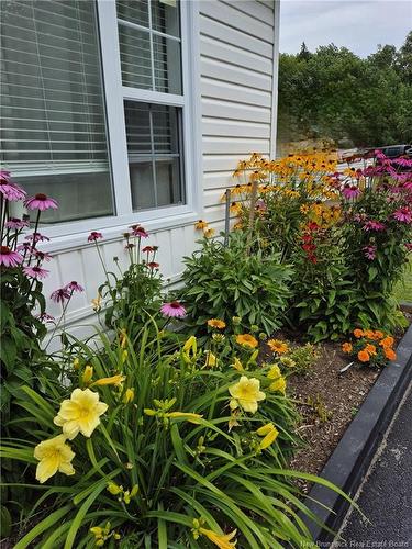 431 Osmond Lane, Fredericton, NB 