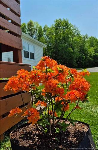 431 Osmond Lane, Fredericton, NB 