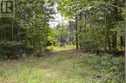 1148 MT ST PATRICK ROAD  Admaston/Bromley, ON K7V 3Z7