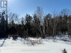 L 24&25 - 0 LOST NATION ROAD Brudenell, Lyndoch And Raglan, ON K0J 2E0