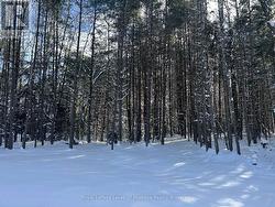 over 4 acres of land to call your ow - 