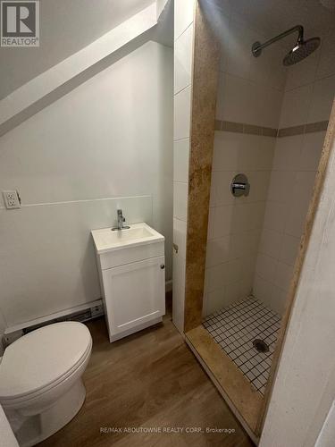 66 Wellington Street S, Hamilton, ON - Indoor Photo Showing Bathroom