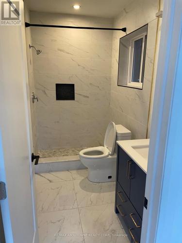 66 Wellington Street S, Hamilton, ON - Indoor Photo Showing Bathroom