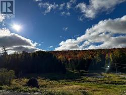 556 HIGHWAY 518 W  Perry, ON P0A 1J0