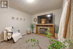 FAMILY ROOM LOWER LEVEL - 