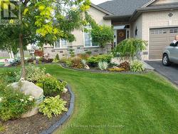 SUMMER IN FRONT YARD - 