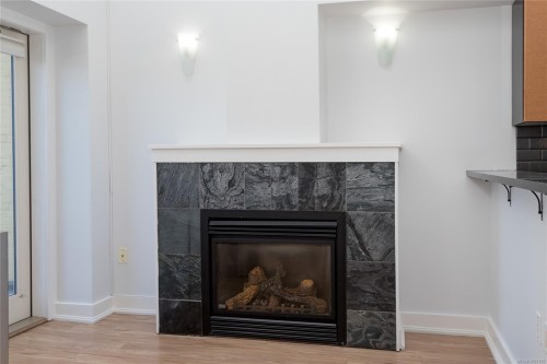 323-599 Pandora Ave, Victoria, BC - Indoor Photo Showing Living Room With Fireplace