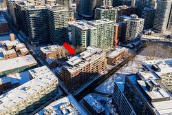 222-225 Rue de la Montagne  Montréal (Le Sud-Ouest), QC H3C 2A6