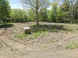 Lot 19-1 Fairmont Road  Antigonish, NS B2G 2L2