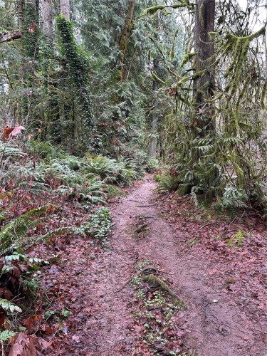 5607 Capstone Pl, Duncan, BC - Outdoor