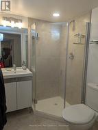 Lower level bathroom - 