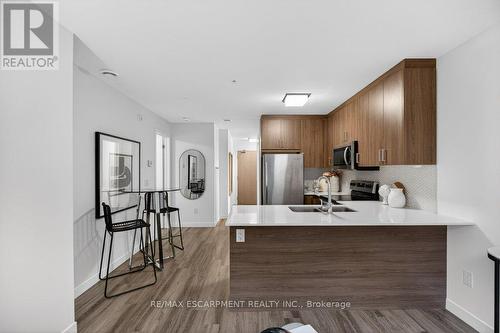 209 - 479 Charlton Avenue E, Hamilton, ON - Indoor Photo Showing Kitchen With Double Sink