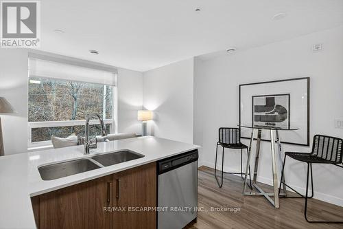 209 - 479 Charlton Avenue E, Hamilton, ON - Indoor Photo Showing Kitchen With Double Sink