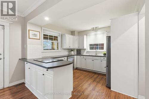 232 Mountain Park Avenue, Hamilton, ON - Indoor Photo Showing Kitchen