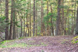 3705 Keel Cres  Pender Island, BC V0N 2M0