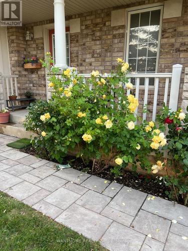 3995 Janice Drive, Mississauga, ON - Outdoor