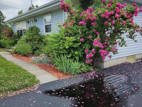 22 Macdougall, Antigonish, NS 