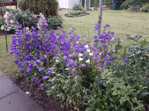 22 Macdougall, Antigonish, NS 