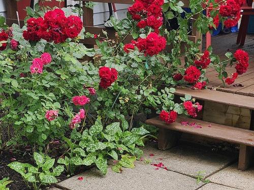 22 Macdougall, Antigonish, NS 